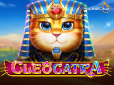 1 haftalık civciv ne yer. Casino slot nedir.80